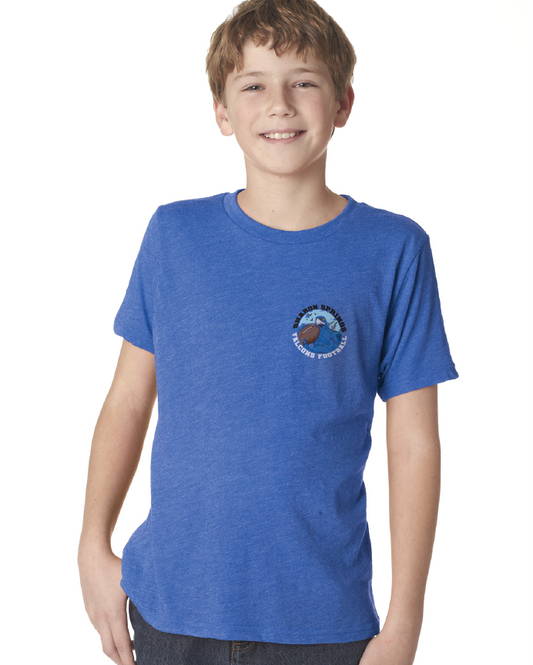 Youth Custom-Illustrated SS Falcons Mascot Triblend Tee